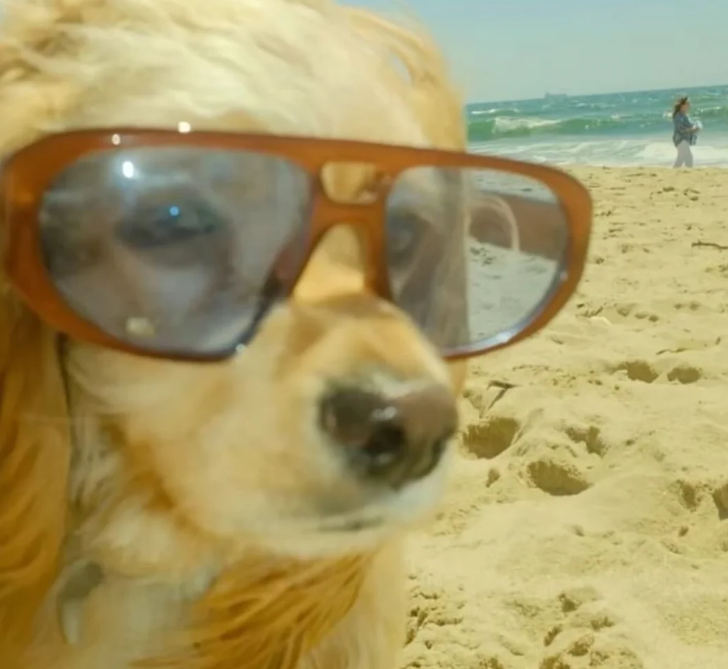 d76574dedd722fecb7494c94fa7a83b3